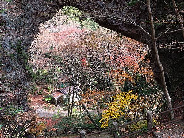 Shodoshima k1.JPG Shodoshima k1.JPG