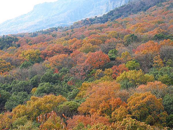 Shodoshima l2.JPG Shodoshima l2.JPG