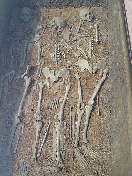 Anyang d5.JPG Anyang d5.JPG