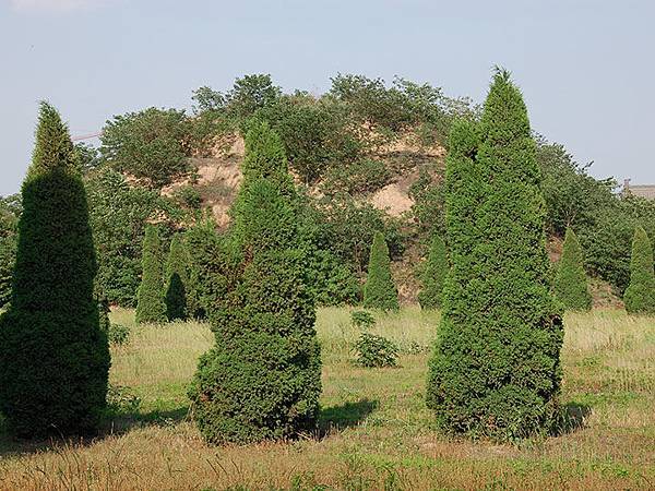 Gongyi e5.JPG Gongyi e5.JPG