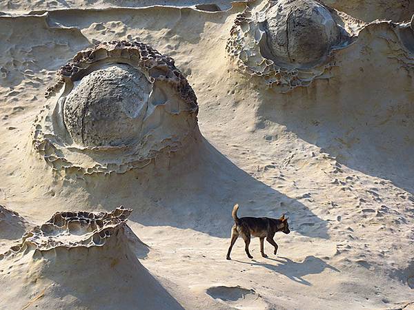 Yehliu f1.JPG Yehliu f1.JPG