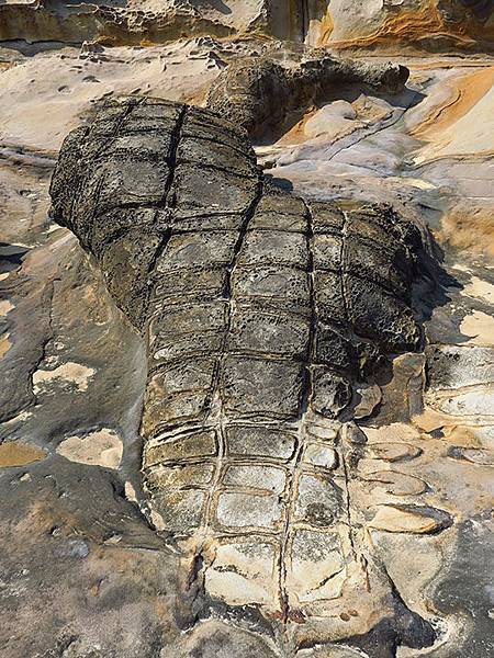 Yehliu g5.JPG Yehliu g5.JPG