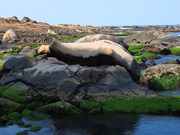 Yehliu j4.JPG Yehliu j4.JPG