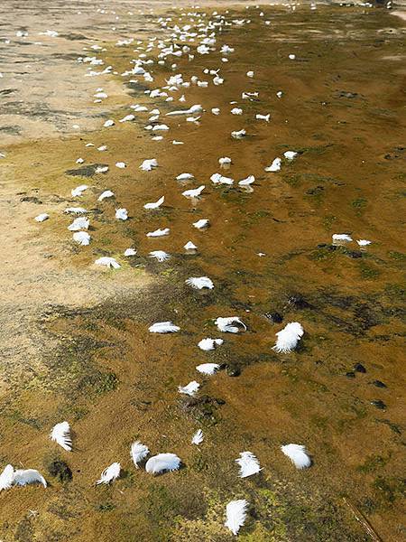 Yehliu i7.JPG Yehliu i7.JPG