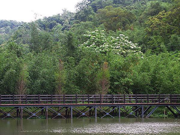 Xizhi a2.JPG Xizhi a2.JPG