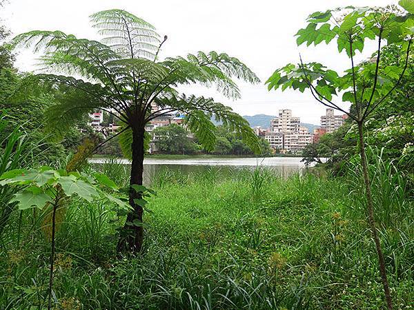 Xizhi a3.JPG Xizhi a3.JPG