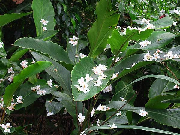 Xizhi b1.JPG Xizhi b1.JPG