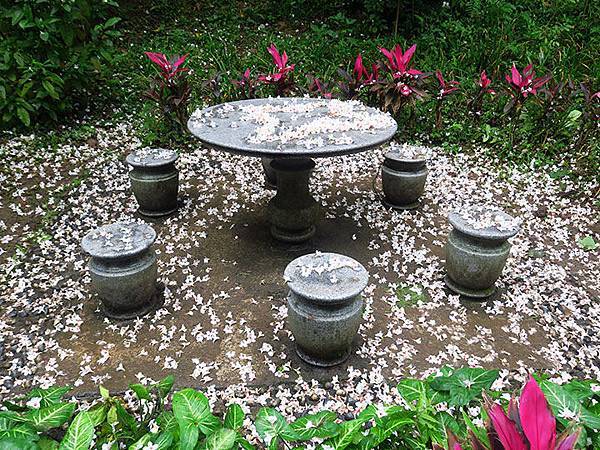 Xizhi c1.JPG Xizhi c1.JPG