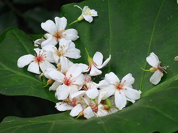 Xizhi b3.JPG Xizhi b3.JPG