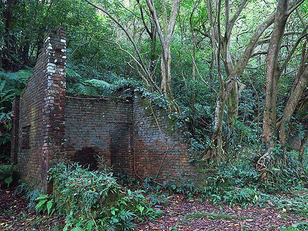 Xizhi c3.JPG Xizhi c3.JPG