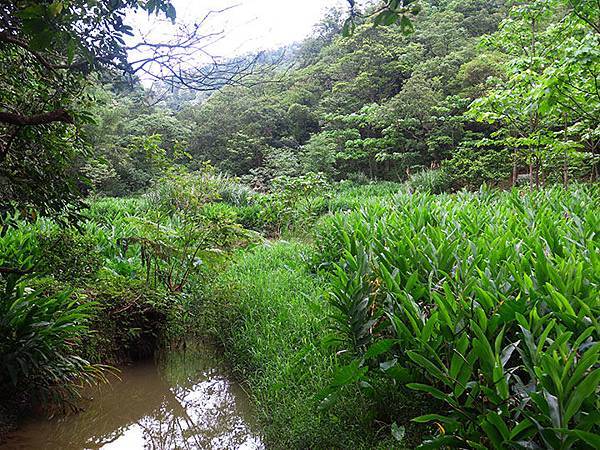 Xizhi c6.JPG Xizhi c6.JPG