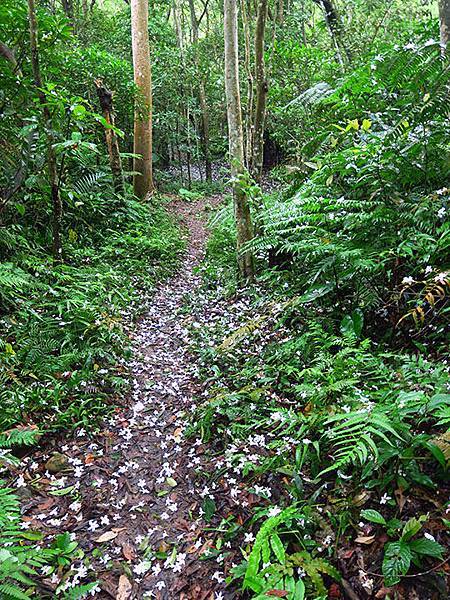 Xizhi d1.JPG Xizhi d1.JPG