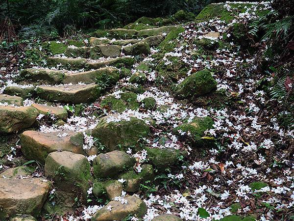 Xizhi e1.JPG Xizhi e1.JPG