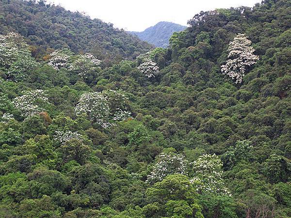 Xizhi e3.JPG Xizhi e3.JPG