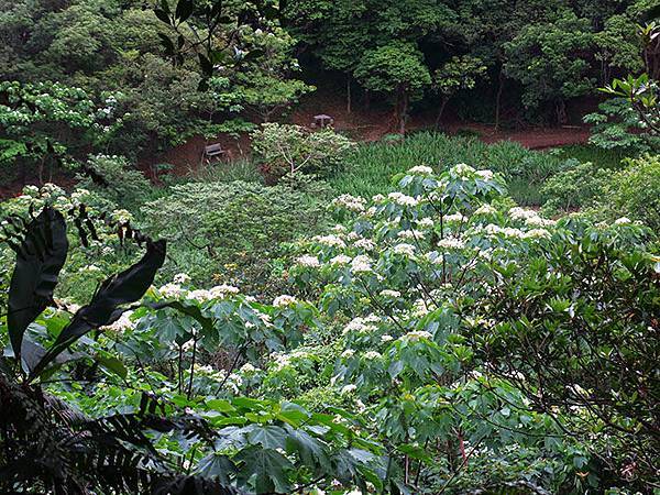 Xizhi e2.JPG Xizhi e2.JPG