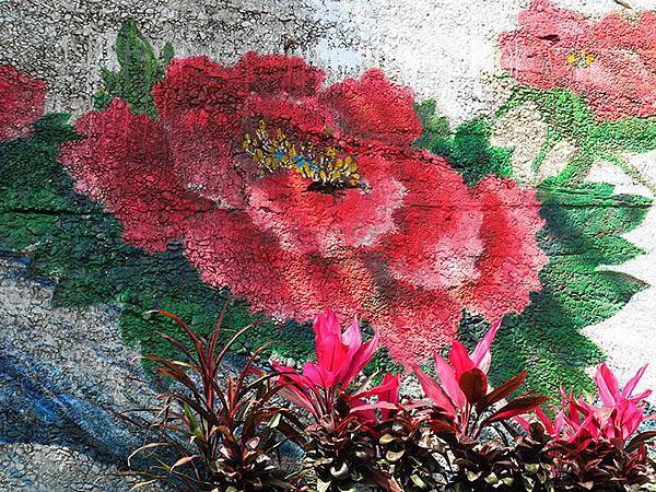 Mudan b5.JPG Mudan b5.JPG