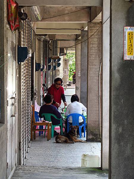 Mudan d4.JPG Mudan d4.JPG