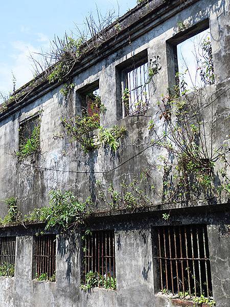 Mudan e3.JPG Mudan e3.JPG