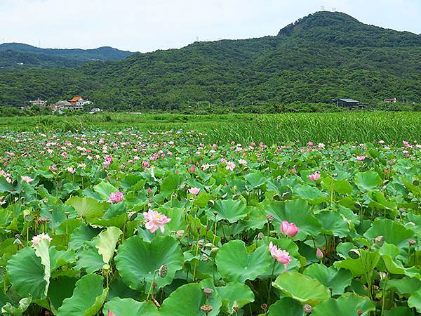 Jinshan k6.JPG Jinshan k6.JPG