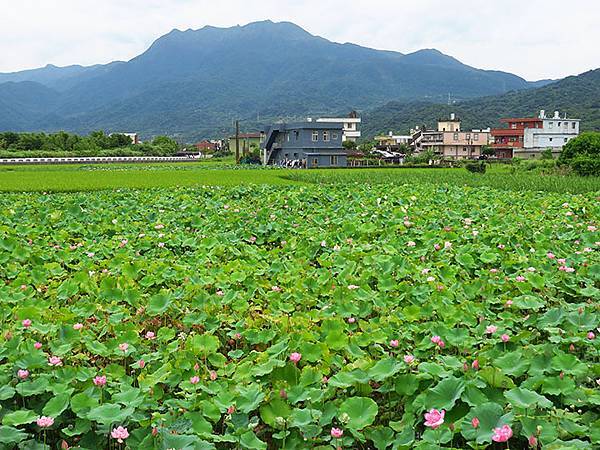 Jinshan k2.JPG Jinshan k2.JPG