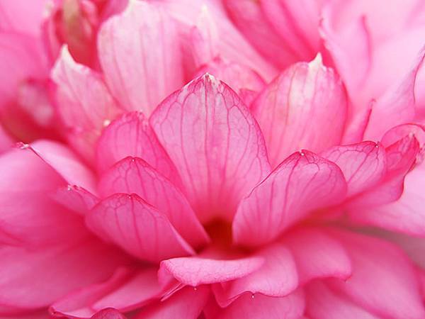 Jinshan l7.JPG Jinshan l7.JPG