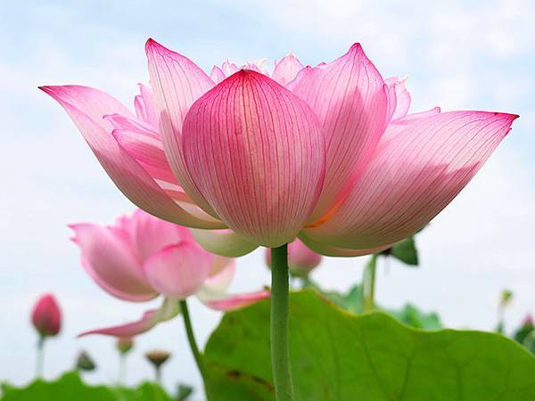 Jinshan m1.JPG Jinshan m1.JPG