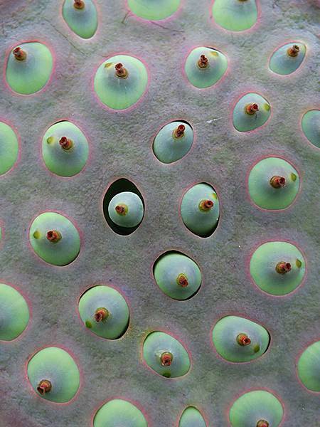 Jinshan n6.JPG Jinshan n6.JPG