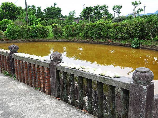 Jinshan o4.JPG Jinshan o4.JPG