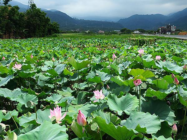 Jinshan o6.JPG Jinshan o6.JPG