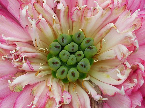 Jinshan m6.JPG Jinshan m6.JPG