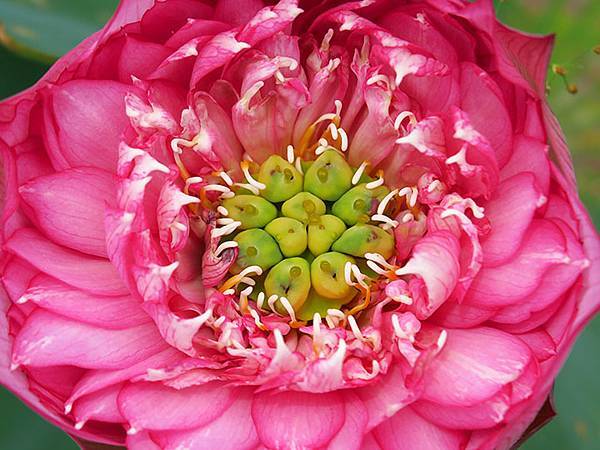 Jinshan m5.JPG Jinshan m5.JPG