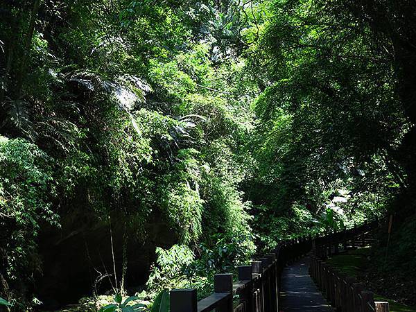 Lion head b1.JPG Lion head b1.JPG