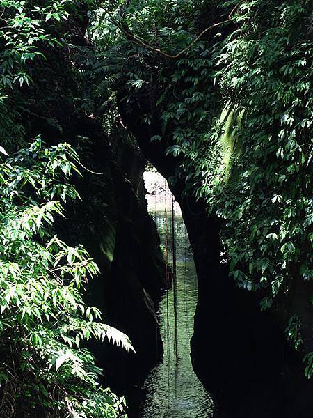 Lion head a5.JPG Lion head a5.JPG