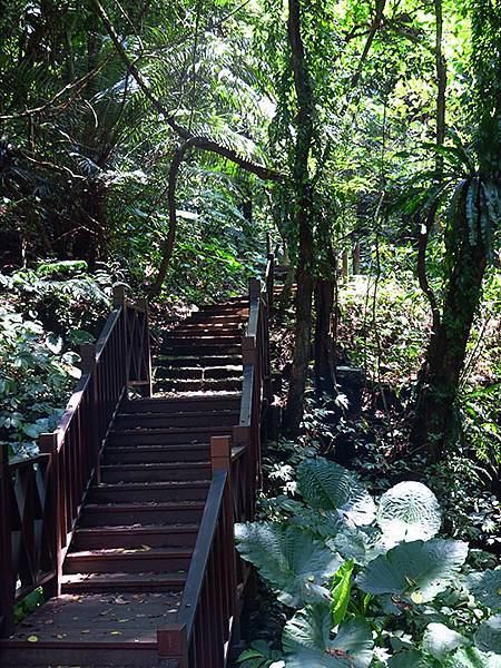 Lion head b2.JPG Lion head b2.JPG