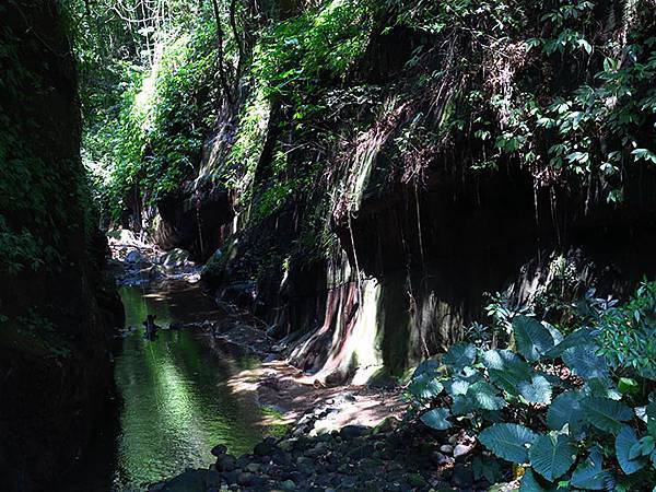 Lion head b3.JPG Lion head b3.JPG