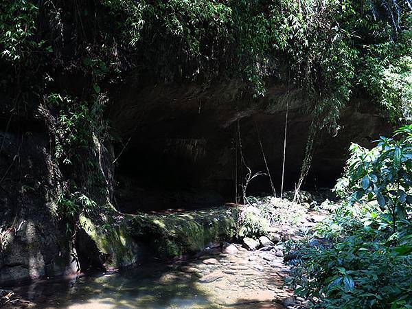 Lion head b5.JPG Lion head b5.JPG