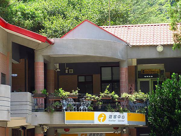 Lion head d1.JPG Lion head d1.JPG