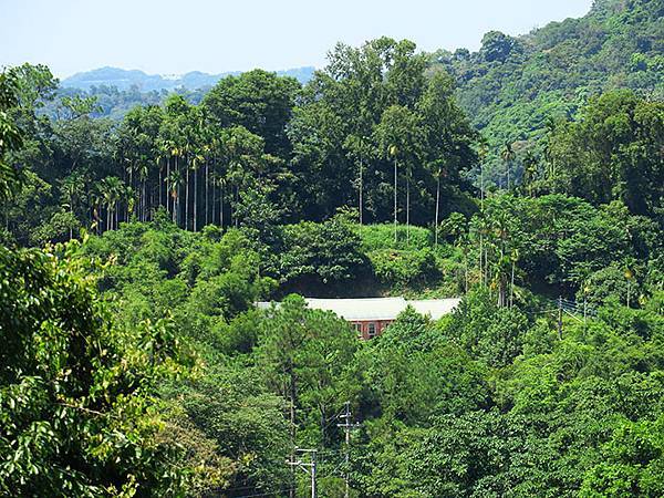 Lion head e4.JPG Lion head e4.JPG