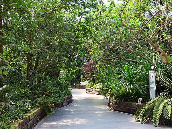 Lin Antai e3.JPG Lin Antai e3.JPG