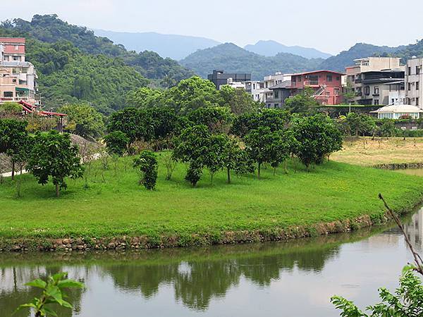 Dragonfly e2.JPG Dragonfly e2.JPG