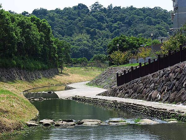 Dragonfly e36.JPG Dragonfly e36.JPG