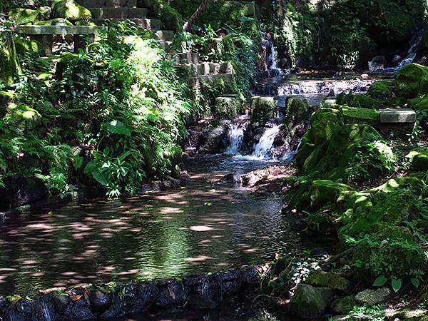 Dragonfly g3.JPG Dragonfly g3.JPG