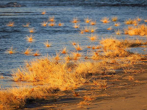 Beach a1.JPG