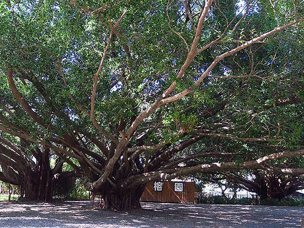 Fengyuan c2.JPG Fengyuan c2.JPG