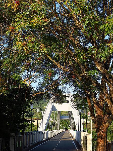 Fengyuan j5.JPG Fengyuan j5.JPG