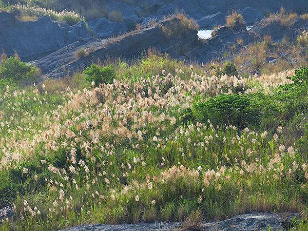 Fengyuan g6.JPG Fengyuan g6.JPG