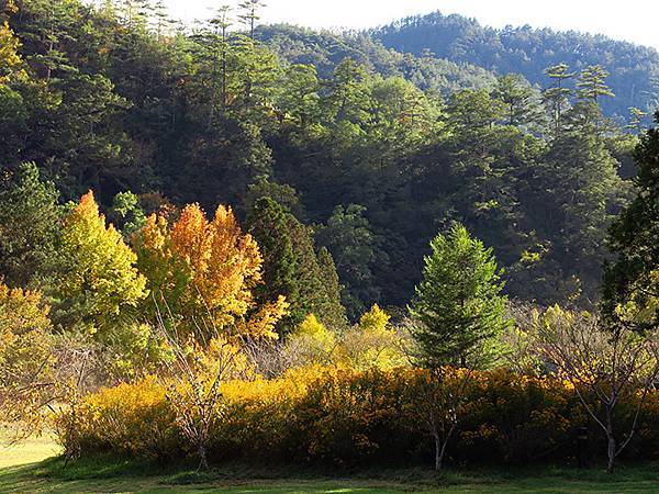 台灣 台中 十九 武陵農場 上 南谷紅葉 Wuling Farm I Confusingstone的部落格 痞客邦 台灣 台中 十九 武陵農場 上 南谷紅葉 Wuling Farm I Confusingstone的部落格 痞客邦