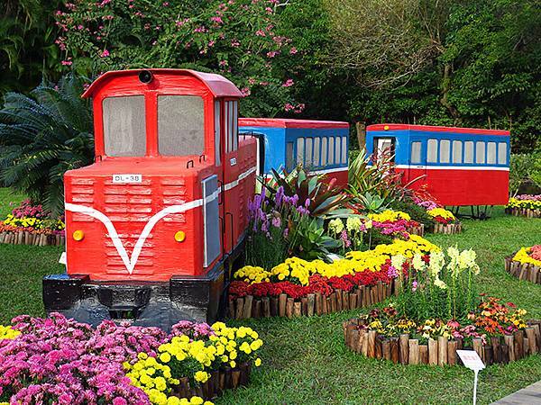 chrysanthemum a2.JPG chrysanthemum a2.JPG