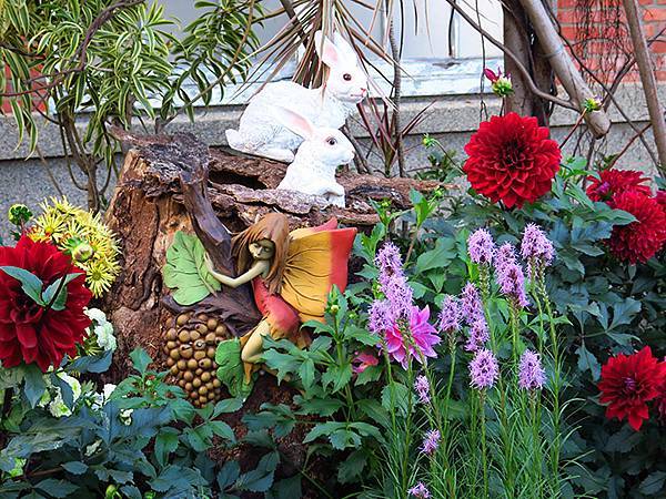 chrysanthemum a4.JPG chrysanthemum a4.JPG