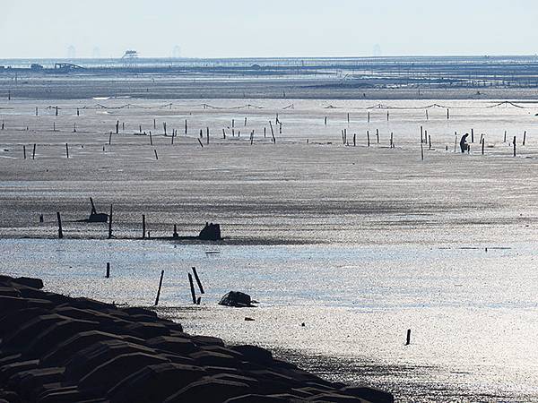 Fubao d3.JPG Fubao d3.JPG